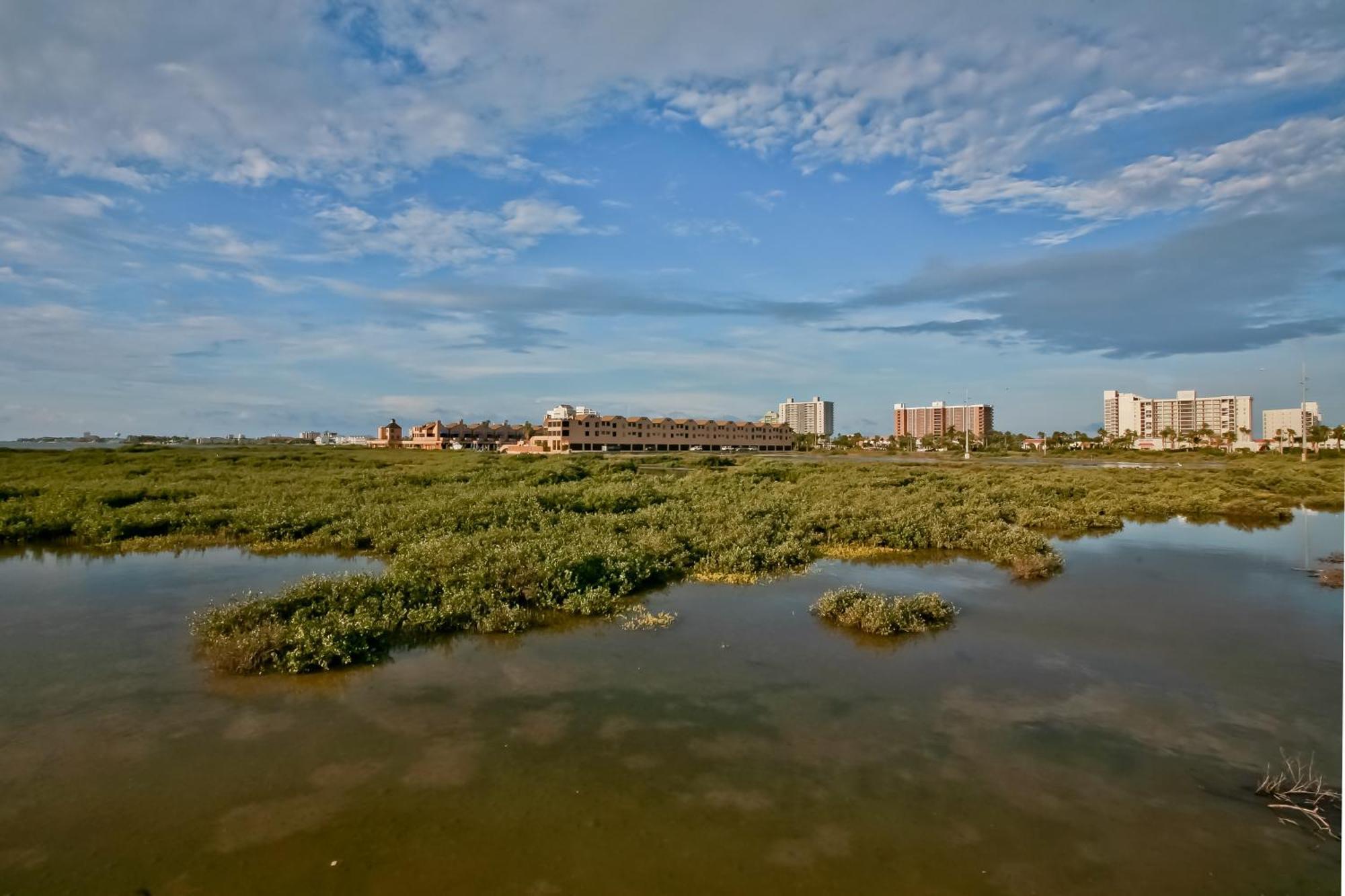 Suntide III Condominiums South Padre Island Camera foto